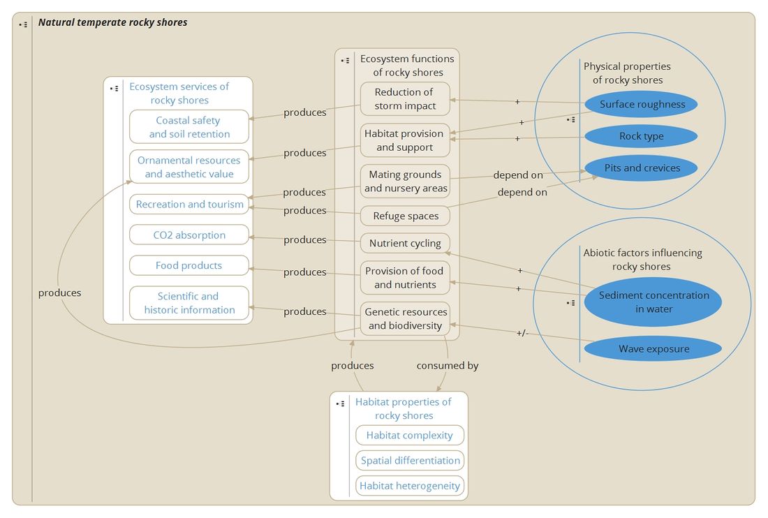 Rocky shore concept map