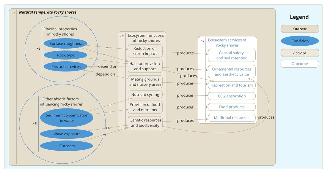 Rocky shore concept map_v03