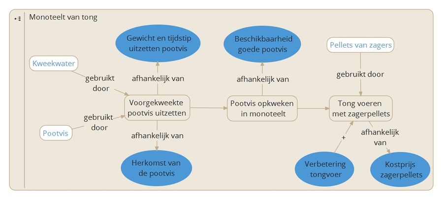 BA Monoteelt tong