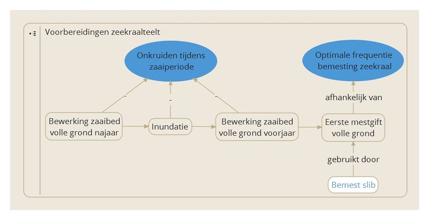 Voorbereidingen zeekraalteelt