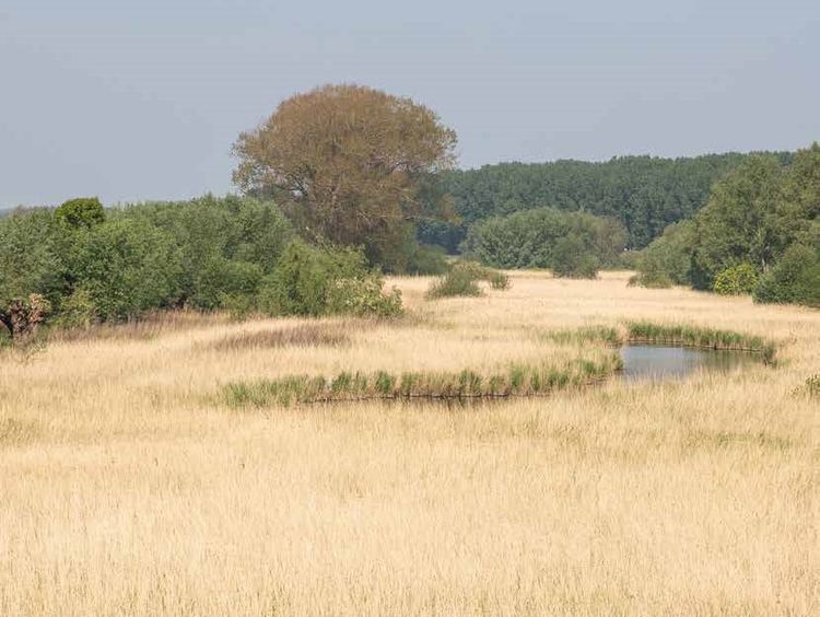 Kreek in Zeeland.jpg