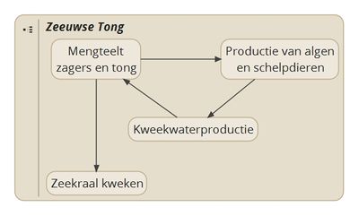 Zeeuwse Tong